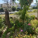 Samos * Guzelcamli