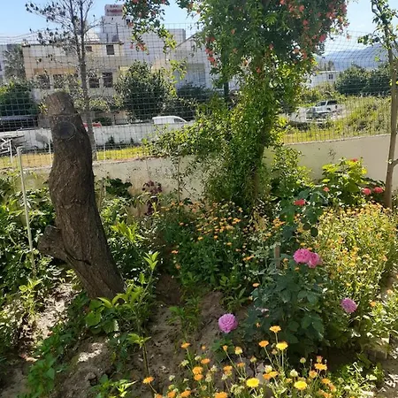 Samos Apart * Guzelcamlı