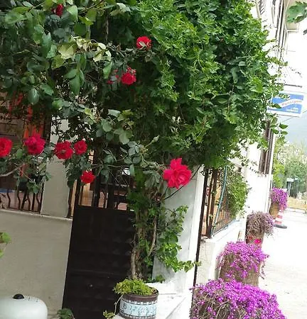 Samos Aparthotel Guzelcamlı
