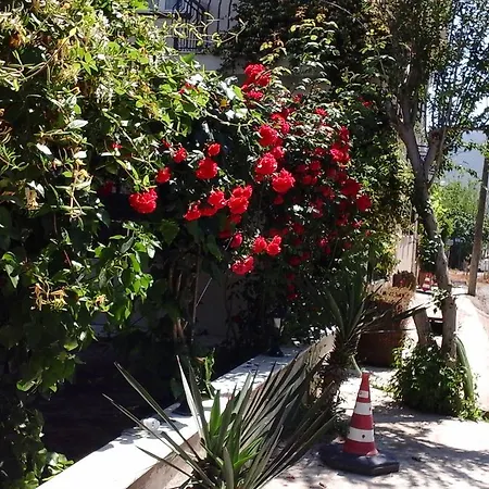 Aparthotel Samos *