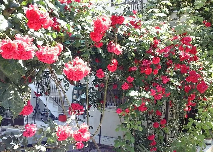 Hotel apartamentowy Samos *
