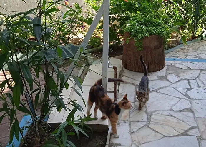 Hotel apartamentowy Samos *