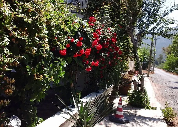 Hotel apartamentowy Samos *