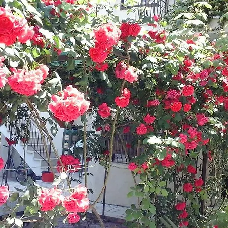 Aparthotel Samos Apart *