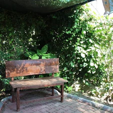 Aparthotel Samos Apart Guzelcamli