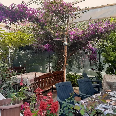 Samos Apart Guzelcamli
