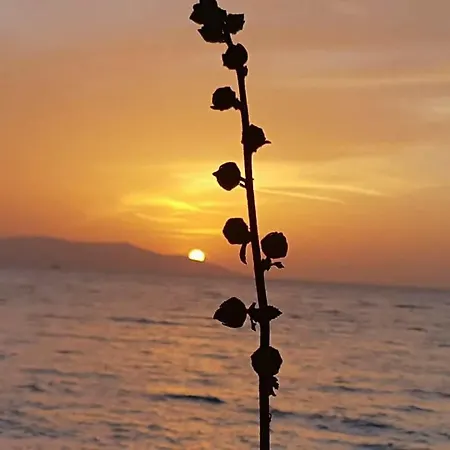 Samos Apart *