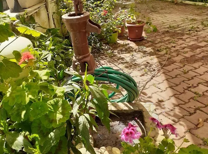 Samos Lägenhetshotell *